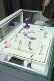 镜架展区VIP6.JPG.jpg